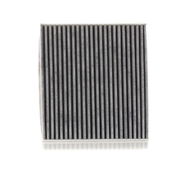 Toyota, Air Filter Particulate filter 87139-02020